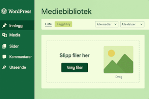 Skjermbilde av WordPress mediebibliotek hvor nytt bilde lastes opp