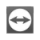 Team Viewer Logo