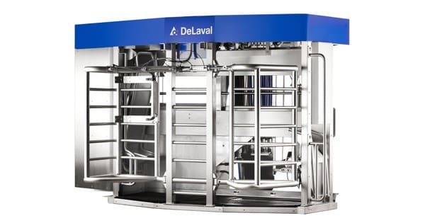 Melkerobot fra DeLaval i moderne fjøs med automatisert melking