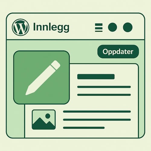 Skjermbildeillustrasjon av WordPress kontrollpanel med Innlegg valgt