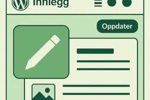 Skjermbildeillustrasjon av WordPress kontrollpanel med Innlegg valgt